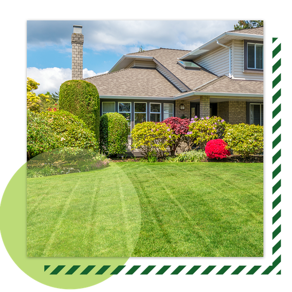 Lawn Care Service in the Oklahoma City Metro Area — See More Irish